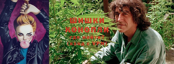 ГАЛЛЮЦИНОГЕННЫЕ ГРИБЫ Тында
