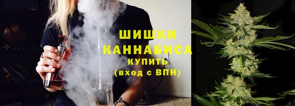 шишки Тобольск
