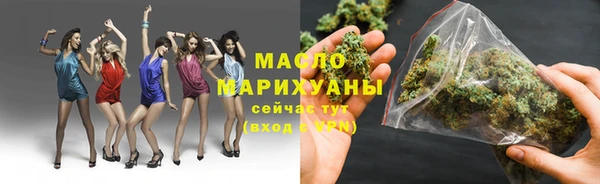 индика Тутаев