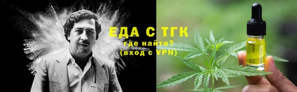 индика Тутаев