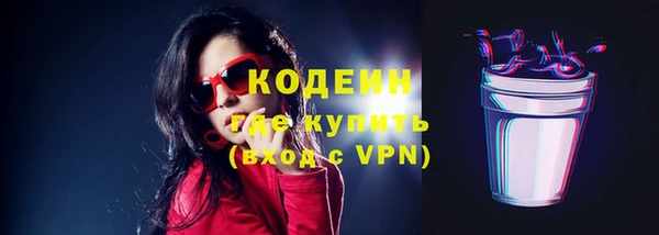 индика Тутаев