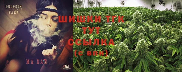 ГАЛЛЮЦИНОГЕННЫЕ ГРИБЫ Тында