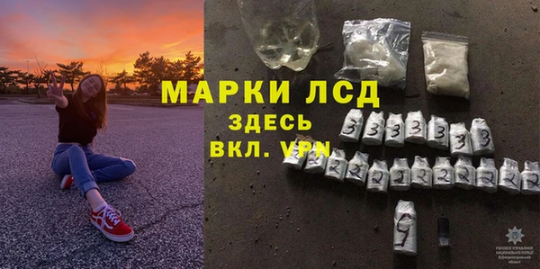 индика Тутаев