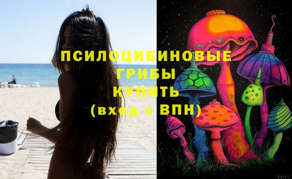 шишки Тобольск