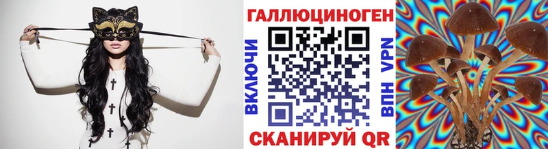 продажа наркотиков  Балаково  Галлюциногенные грибы мицелий 